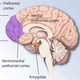 Illustration for article titled How Does "Valence" Help Your Brain Distinguish Between Good And Bad?